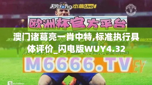 澳門諸葛亮一肖中特,標準執行具體評價_閃電版WUY4.32