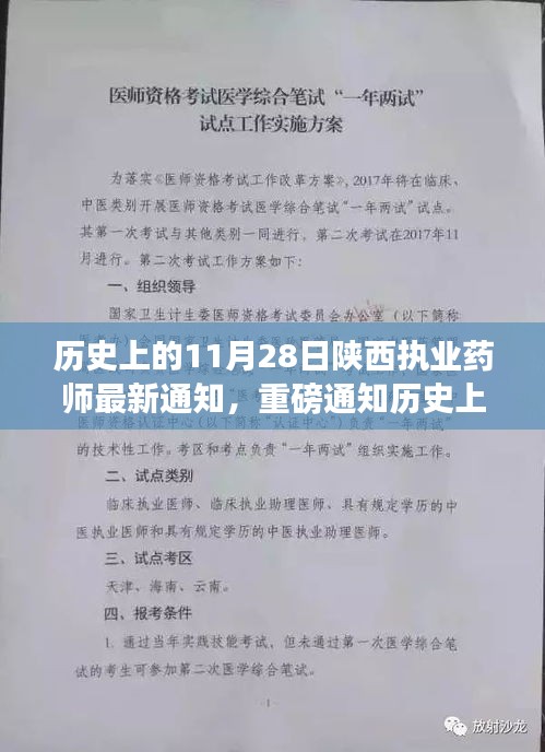 陜西執業藥師最新動態揭秘，歷史上的11月28日重磅通知發布在即！