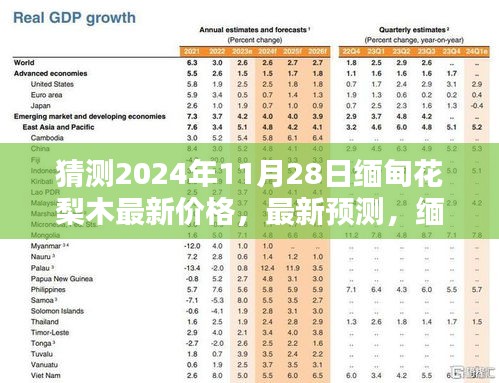 輕徙鳥舉 第4頁