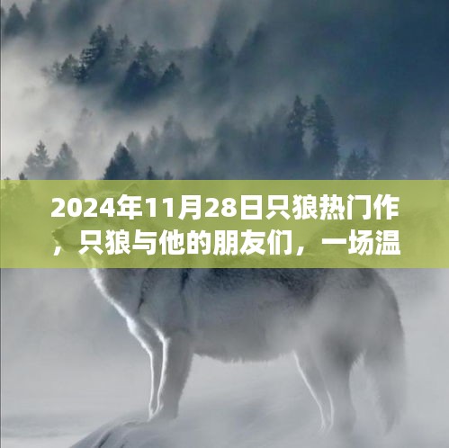 只狼與他的朋友們，一場溫馨的冒險之旅（2024年11月28日）