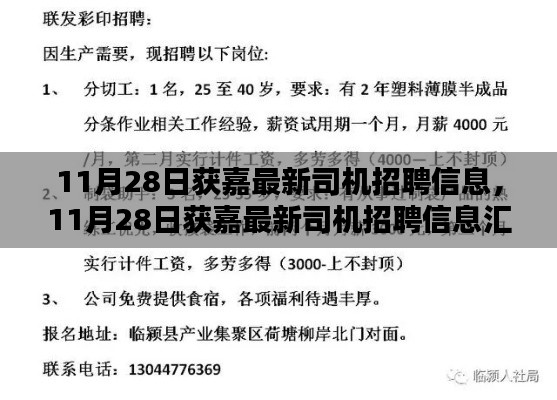 11月28日獲嘉司機(jī)招聘信息大全，掌握未來(lái)職業(yè)機(jī)遇的鑰匙