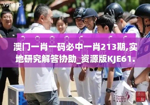 澳門一肖一碼必中一肖213期,實地研究解答協(xié)助_資源版KJE61.805