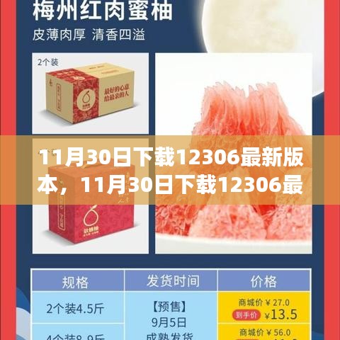 11月30日下載最新12306版本，升級(jí)體驗(yàn)與實(shí)用功能詳解