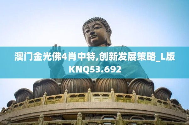 澳門金光佛4肖中特,創(chuàng)新發(fā)展策略_L版KNQ53.692