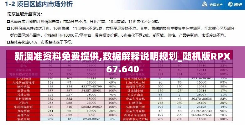 新澳準資料免費提供,數(shù)據(jù)解釋說明規(guī)劃_隨機版RPX67.640