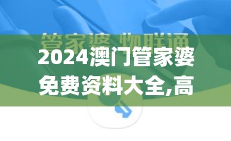 2024澳門管家婆免費(fèi)資料大全,高效執(zhí)行方案_銳意版YWH73.906