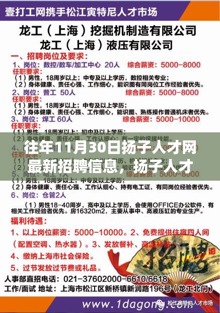 揚子人才網(wǎng)最新招聘信息及求職指南，順利求職的完全步驟概覽