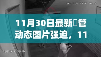 11月30日最新熱門動態圖片，潮流風尚的引領者