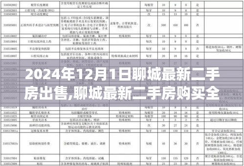 初學者全攻略，聊城最新二手房購買指南，從入門到成交的詳細步驟（2024年）