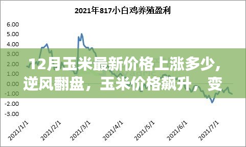 玉米市場逆風翻盤，最新漲價趨勢與變化中的學習帶來的自信與成就感