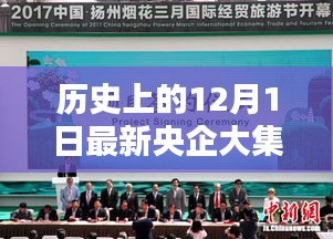 歷史上的12月1日，央企大集體改革的深度探析與觀點分享