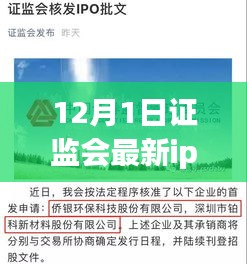 證監會最新IPO名單揭曉，12月新紀元下的資本市場動態