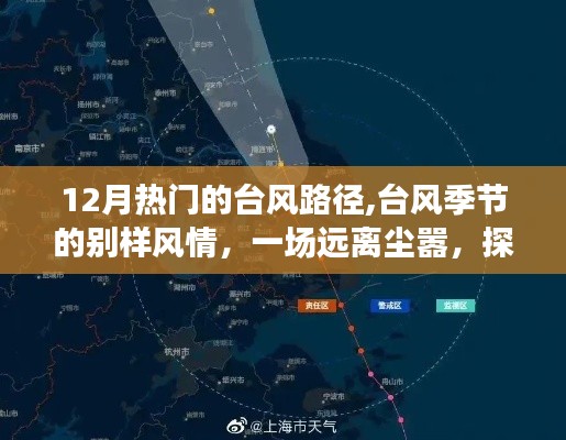 臺(tái)風(fēng)季節(jié)的奇妙之旅，探尋內(nèi)心平靜與別樣風(fēng)情之旅