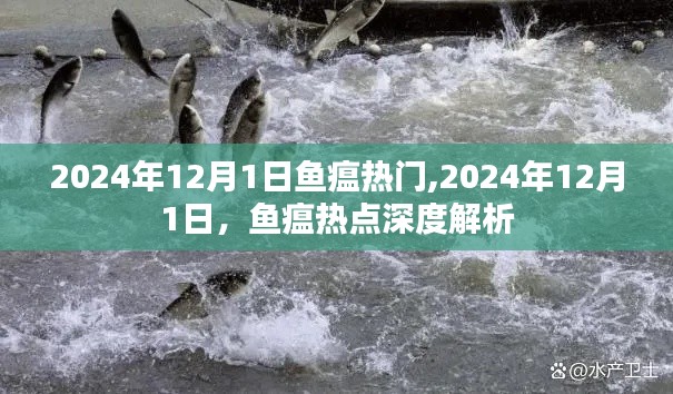 2024年12月1日魚瘟熱點解析，深度探討魚瘟現象
