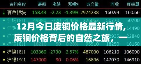 十二月廢銅價格最新動態，探尋背后的自然之旅與內心平靜之旅