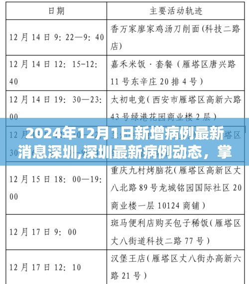 2024年深圳最新病例動態(tài)及應(yīng)對策略，掌握新增病例查詢方法與應(yīng)對技巧