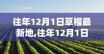 棒打出頭鳥 第3頁