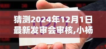 小楊的發審會奇遇，2024年12月1日的溫馨猜想與最新發審會審核展望