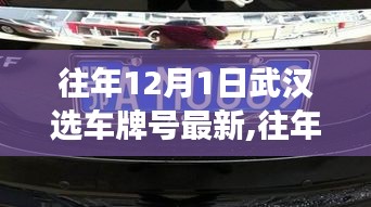 武漢選車牌號最新動態解讀，選號策略與趨勢分析（往年12月1日更新）