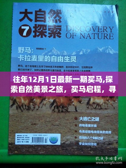 買馬啟程，探索自然美景之旅，尋找內心的寧靜與平和