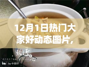 揭秘十二月一日熱門動(dòng)態(tài)圖片，小巷深處的動(dòng)感樂園背后的故事