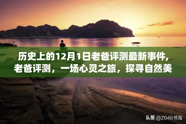 探尋自然美景的平靜力量，老爸評測心靈之旅最新事件回顧