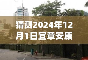 揭秘宜章安康小區(qū)，特色小店探秘與最新發(fā)展動態(tài)（2024年12月）