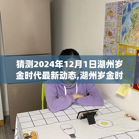 湖州歲金時代最新動態(tài)解析，特性、用戶體驗與目標(biāo)用戶群體分析展望至2024年12月1日深度評測報告