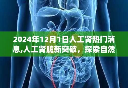 漫天飛舞 第4頁