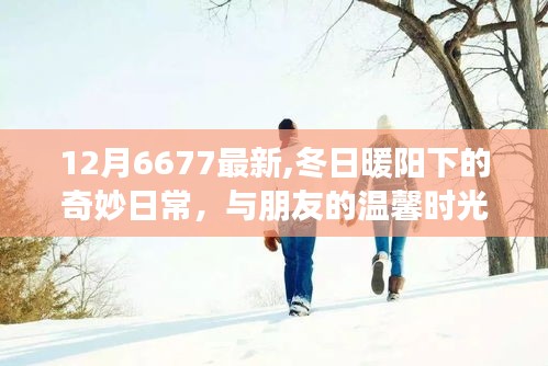 冬日暖陽下的溫馨日常，與朋友共度奇妙時(shí)光（12月最新分享）