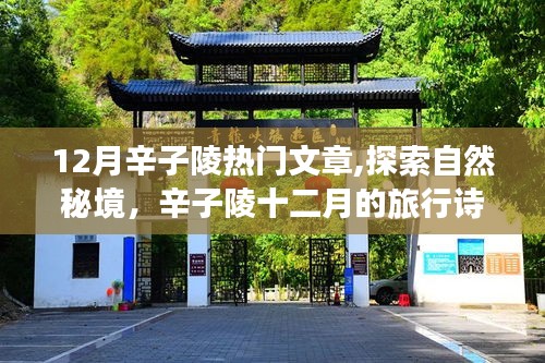 辛子陵十二月旅行詩篇，探索自然秘境，啟程尋找內心的桃花源