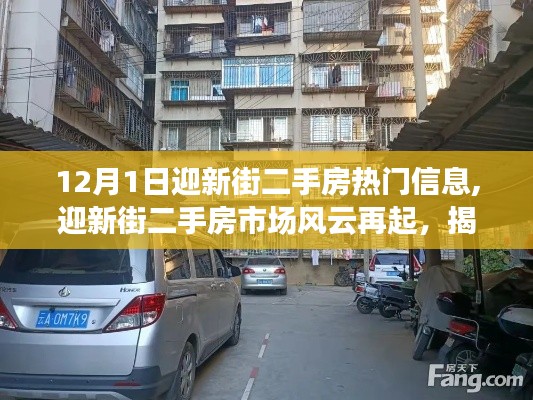 揭秘迎新街二手房市場(chǎng)風(fēng)云再起，十二月一日熱門(mén)信息深度解析