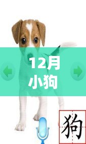 回眸最初 第5頁