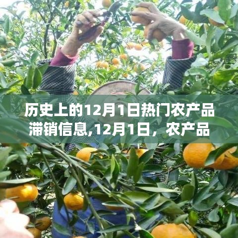 政企行業(yè)數(shù)字化軟件 第296頁