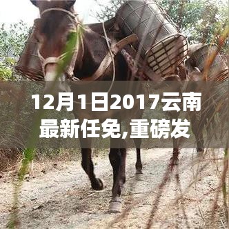 堂而皇之 第4頁