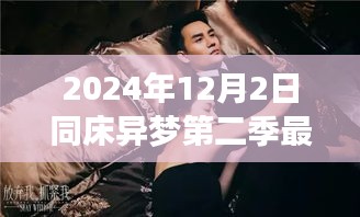 同床異夢(mèng)第二季最新動(dòng)態(tài)，深度解讀與探討（2024年12月2日）