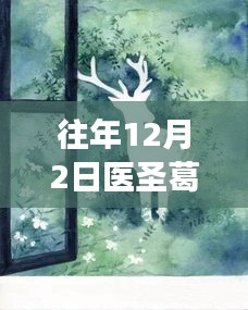 探秘醫(yī)圣葛東旭與小巷美食寶藏，特色小店的奇妙之旅