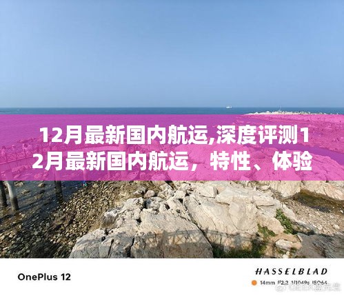深度解析，12月國內(nèi)航運全新動態(tài)，特性體驗、競品對比與用戶洞察