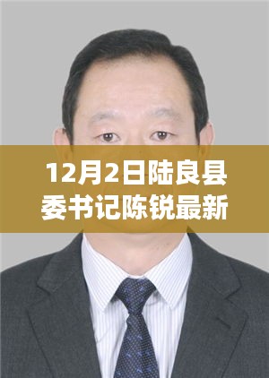 陸良縣委書記陳銳最新動態，引領陸良走向新時代的領導力解析