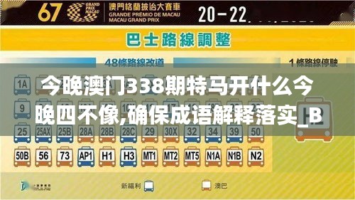 今晚澳門338期特馬開什么今晚四不像,確保成語解釋落實(shí)_BT144.274-2