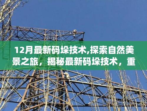揭秘最新碼垛技術(shù)，探索自然美景之旅，重拾心靈寧靜與平和的秘訣