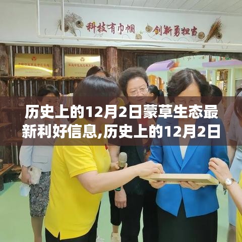 沉魚落雁 第4頁