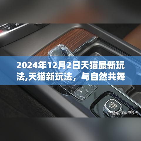 天貓新玩法探索，與自然共舞的日子，開啟內心平靜的奇妙之旅（2024年天貓最新玩法介紹）