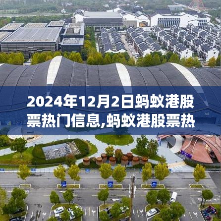 2024年12月2日螞蟻港股票熱門(mén)信息解析