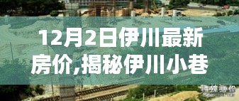 揭秘伊川小巷風情與最新房價，隱藏式特色小店探秘
