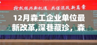 森工企業單位改革下的獨特小店探秘，深巷藏珍的新機遇