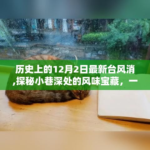探秘歷史臺風背后的獨特小巷美食寶藏，一家隱藏在小巷深處的風味小店