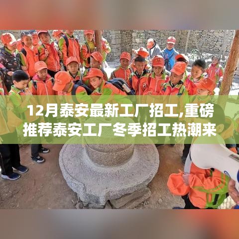泰安冬季工廠招工熱潮來襲，最新崗位等你來加入！