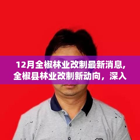 全椒縣林業(yè)改制最新動態(tài)，深度解析與觀點闡述