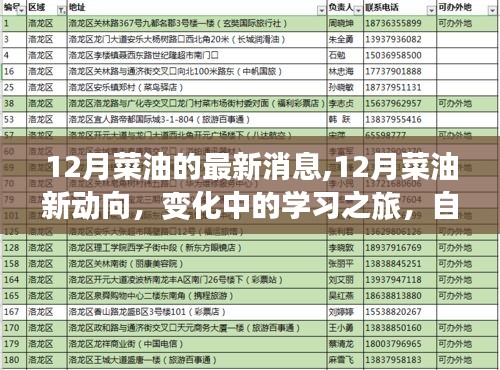 12月菜油市場(chǎng)最新動(dòng)態(tài)，變化中的學(xué)習(xí)之旅，自信與成就感的源泉